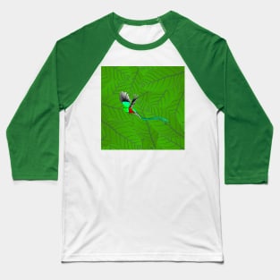 Quetzal on its favorite avocado leaves Baseball T-Shirt